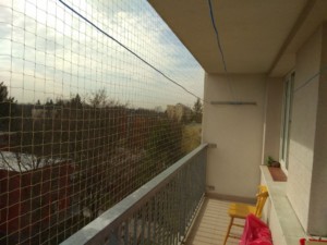 Instalace sítě proti holubům na balkoně